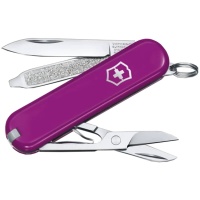 nozh-brelok-victorinox-0-6223-52g-classic-sd-tasty-grape 1