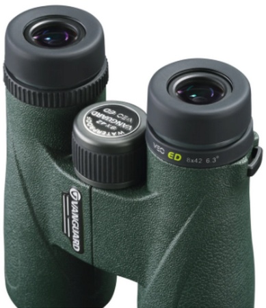 Binokl' Vanguard VEO ED 8x42, zelenyj4