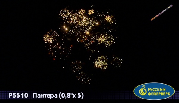 rimskaya-svecha-pantera-3